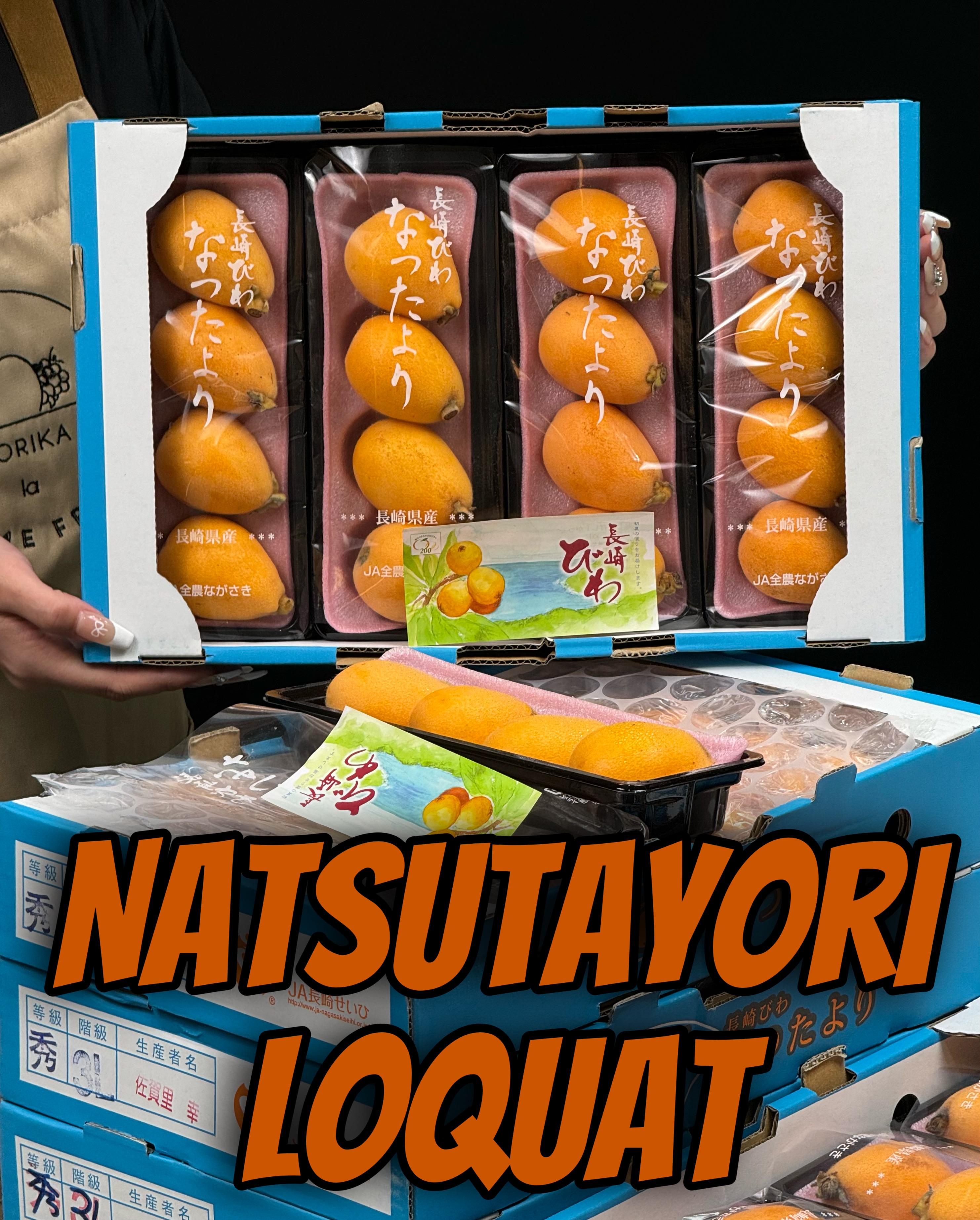 Japan Loquat Natsutayori