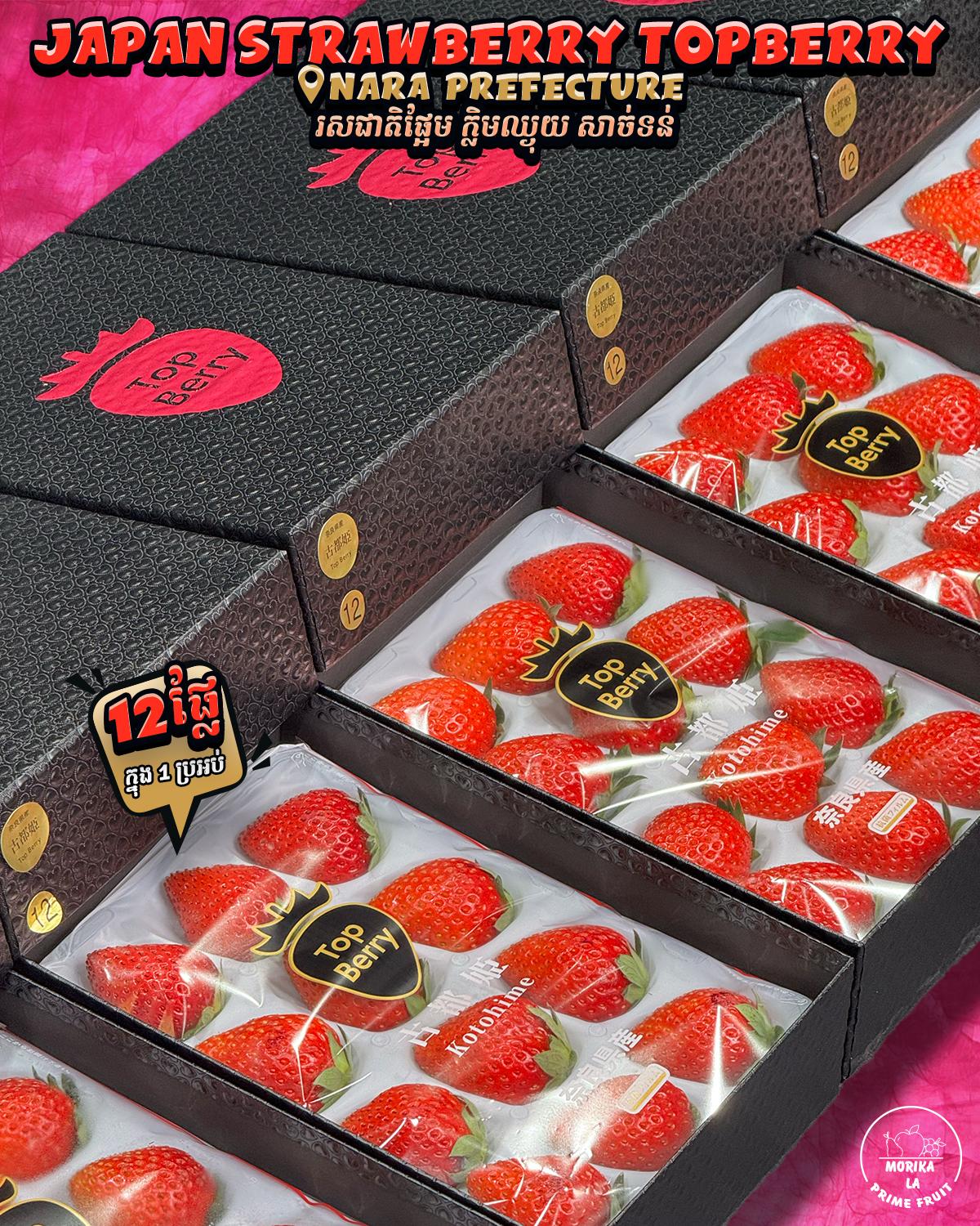 Japan Strawberry TopBerry 🍓