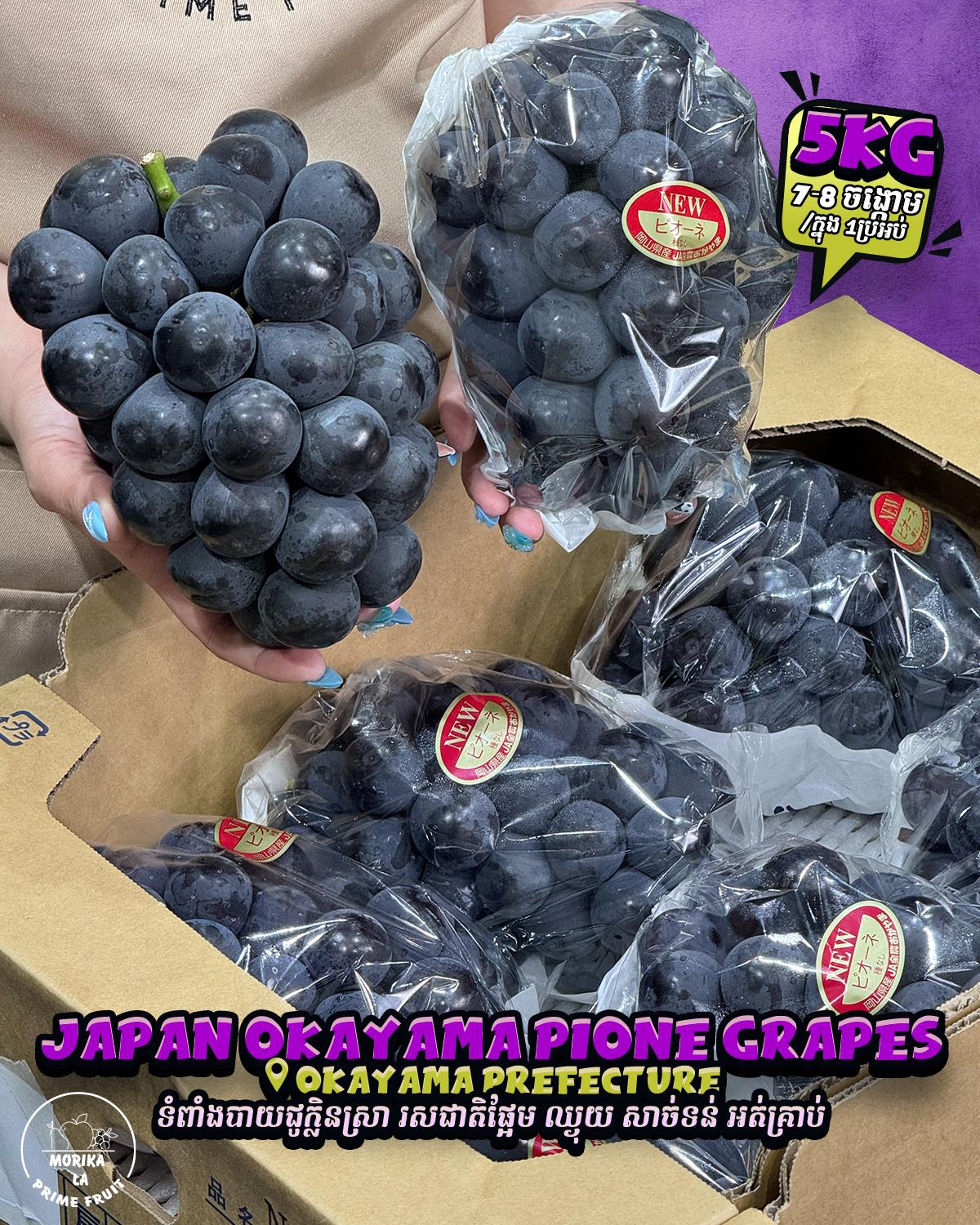Japan Pione Okayama #7 🍇 