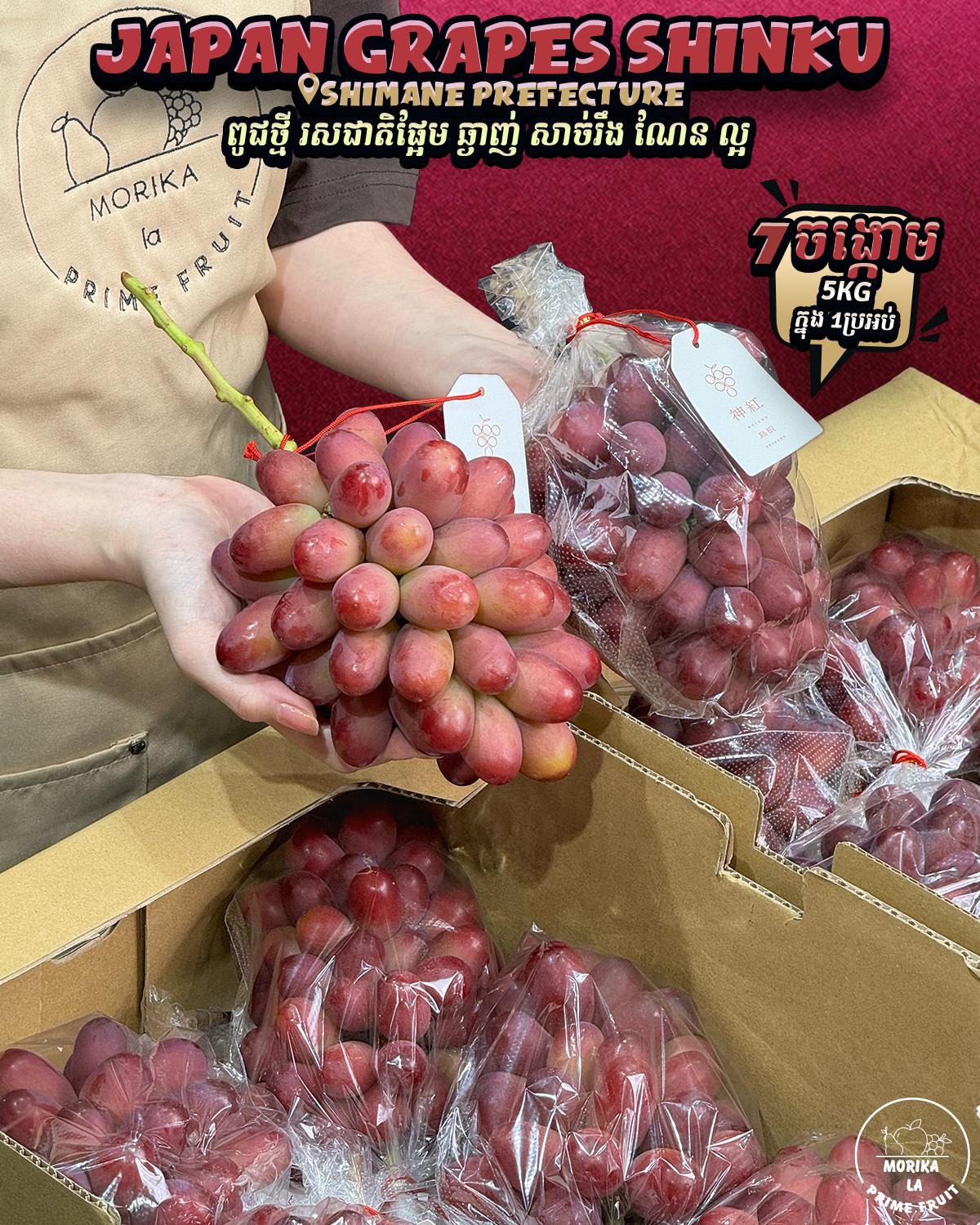 Japan Shinku Grapes #7 🍇 