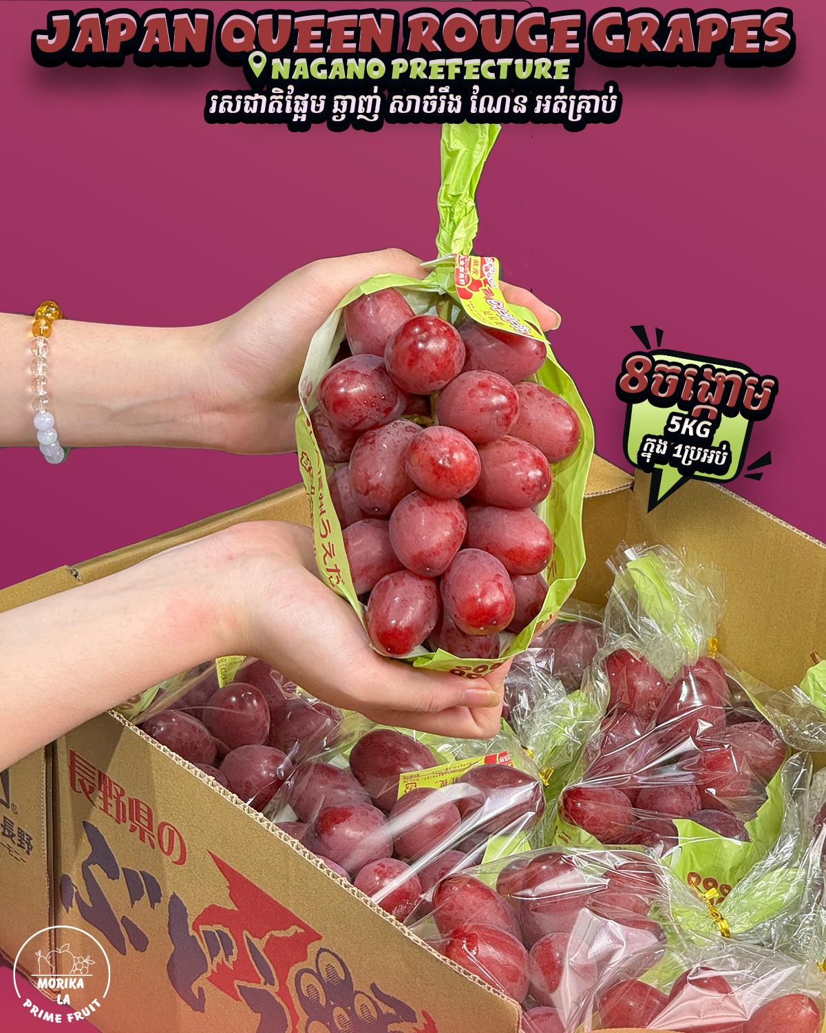 Japan Grapes Queen Rouge #8