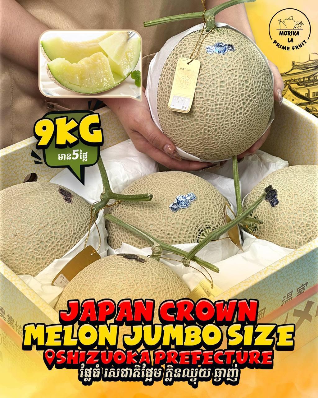 Japan Crown Melon #5 