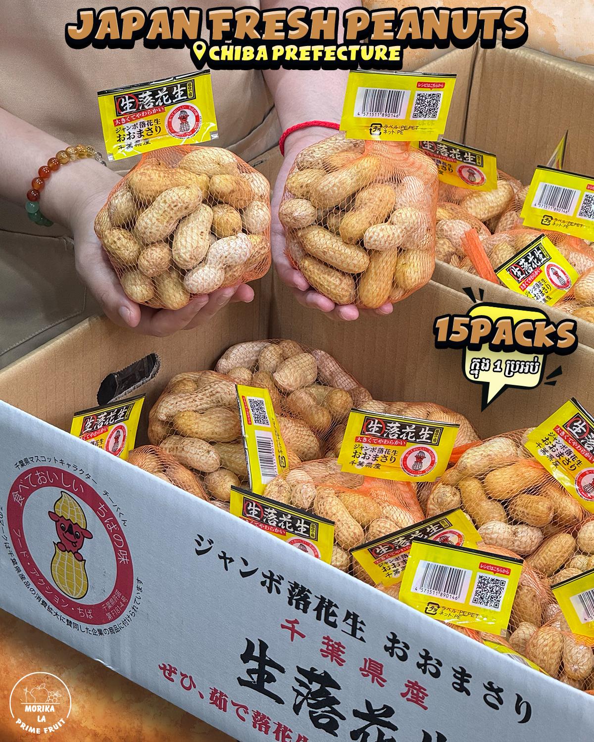 Japan Fresh Peanut 🥜 