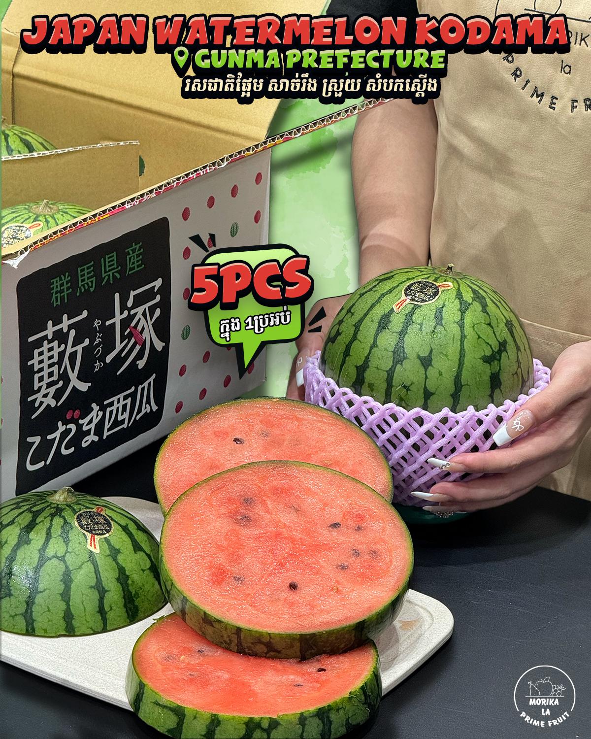 Japan Watermelon Kodama 🍉 