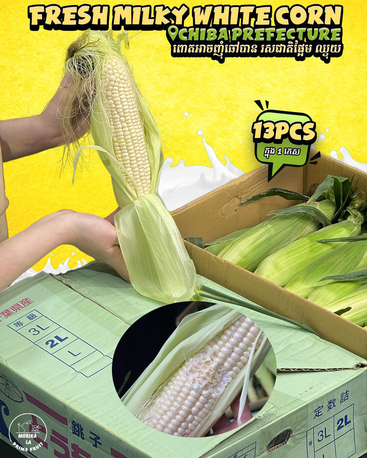 Japan Fresh White Raw Corn 🌽 