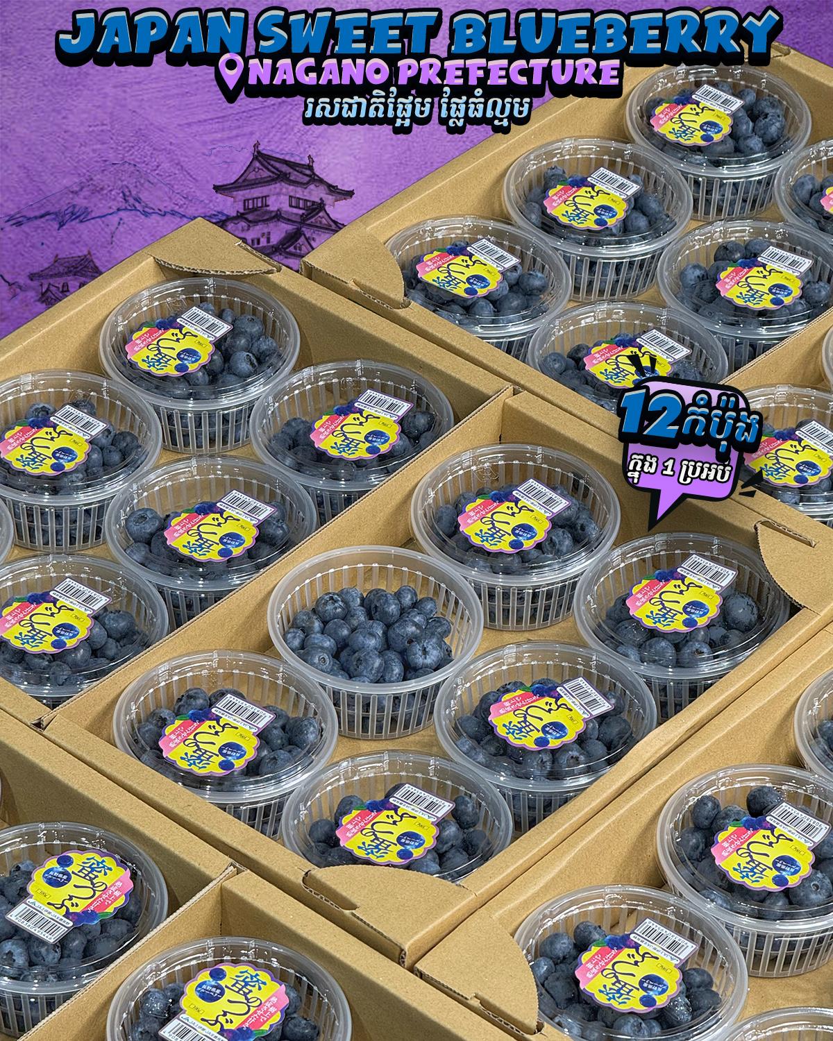 Japan Nagano Sweet Blueberry 🫐 