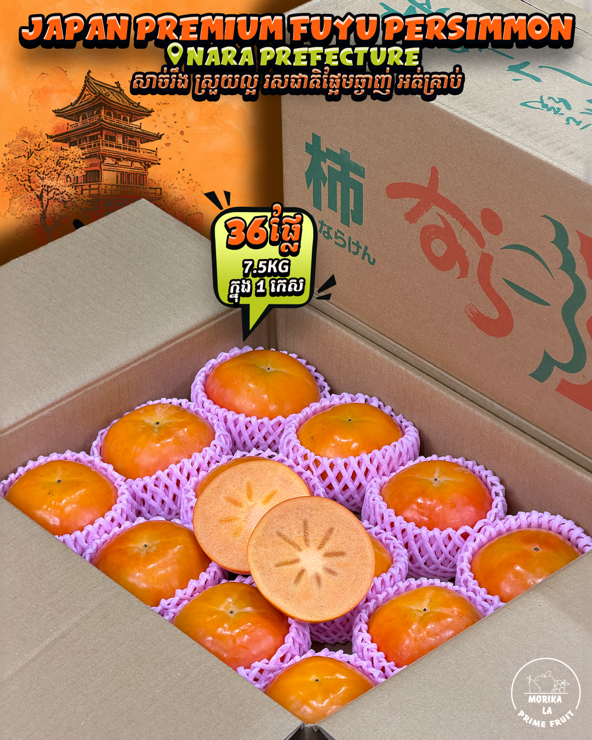 Japan Persimmon Fuyu #42