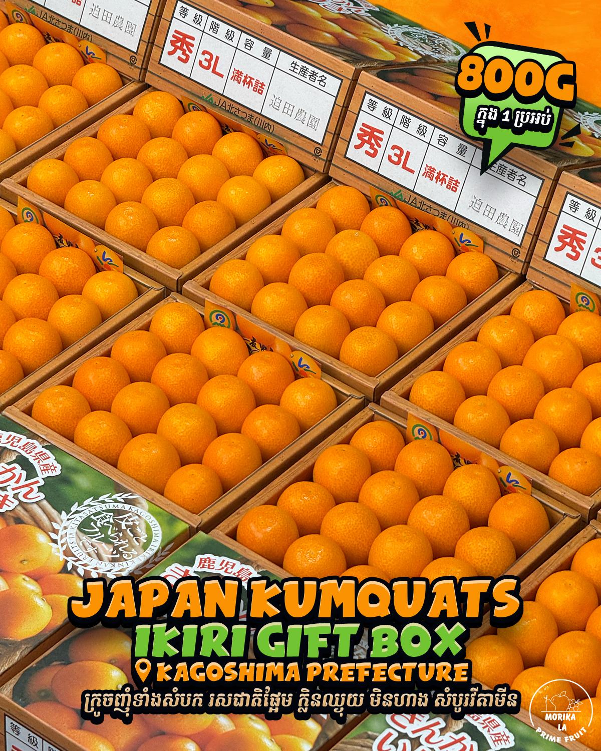 Japan Kumquat Ikiri Gift Box