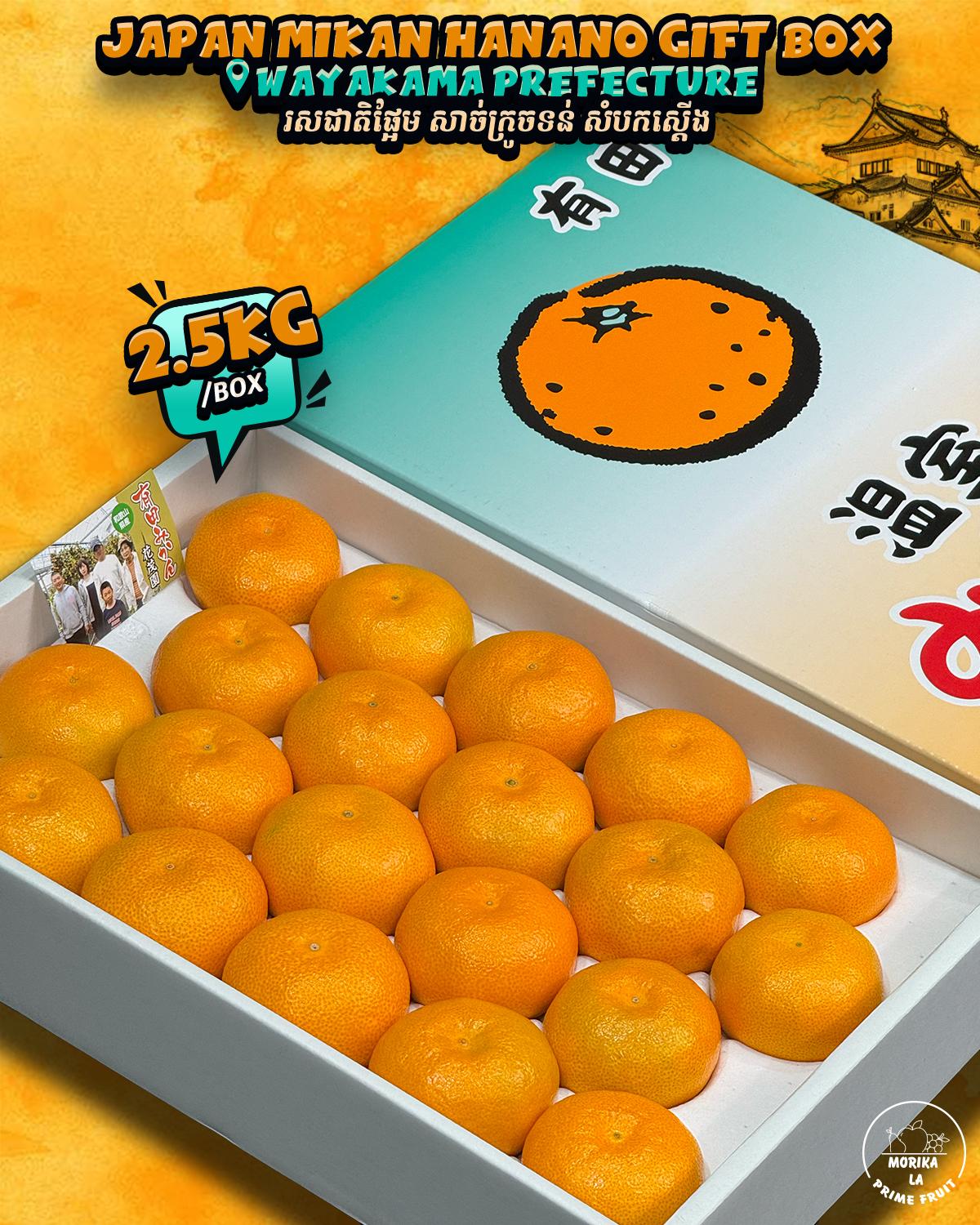 Japan Mikan Hanano Gift Box 🍊