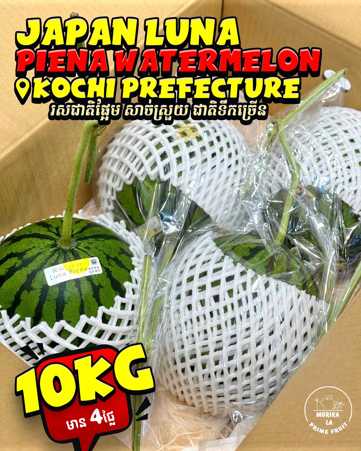 Japan Luna Piena Watermelon🍉