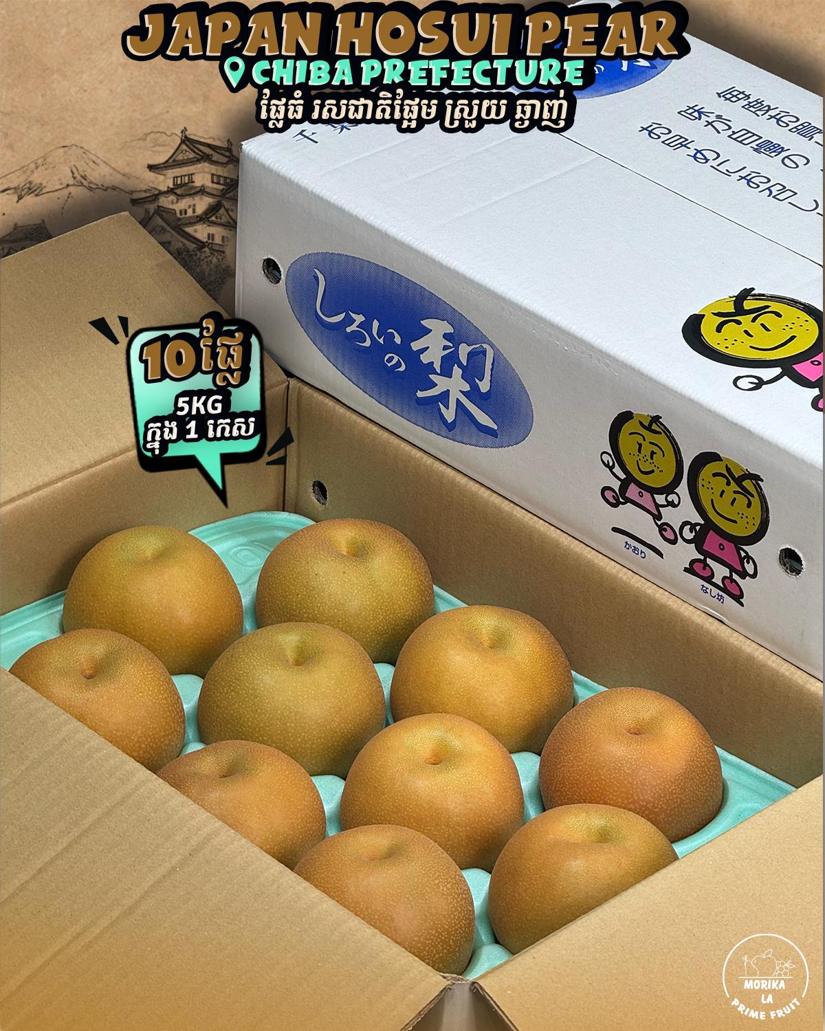 Japan Hosui Pear 
